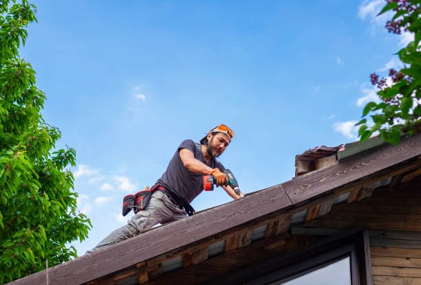 Roof Repairs for Brixton Homes: Our Reliable and Precise Services