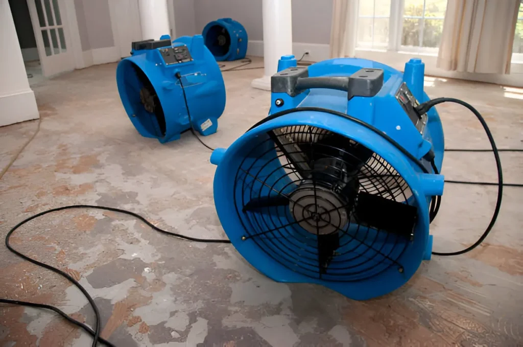 Drying and Dehumidifying